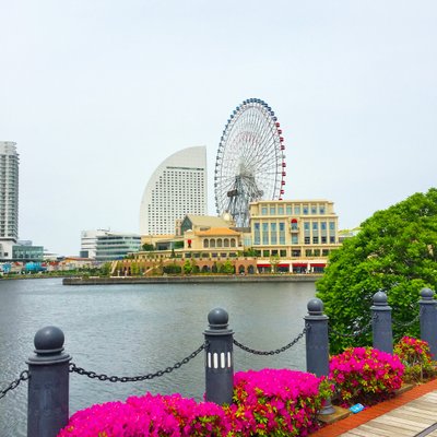 汽車道(港1号 2号 3号橋梁旧臨港線護岸)