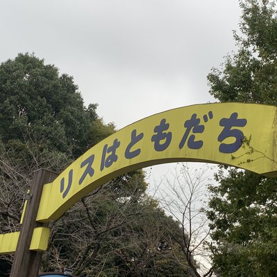 町田リス園