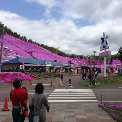 東藻琴芝桜公園キャンプ場