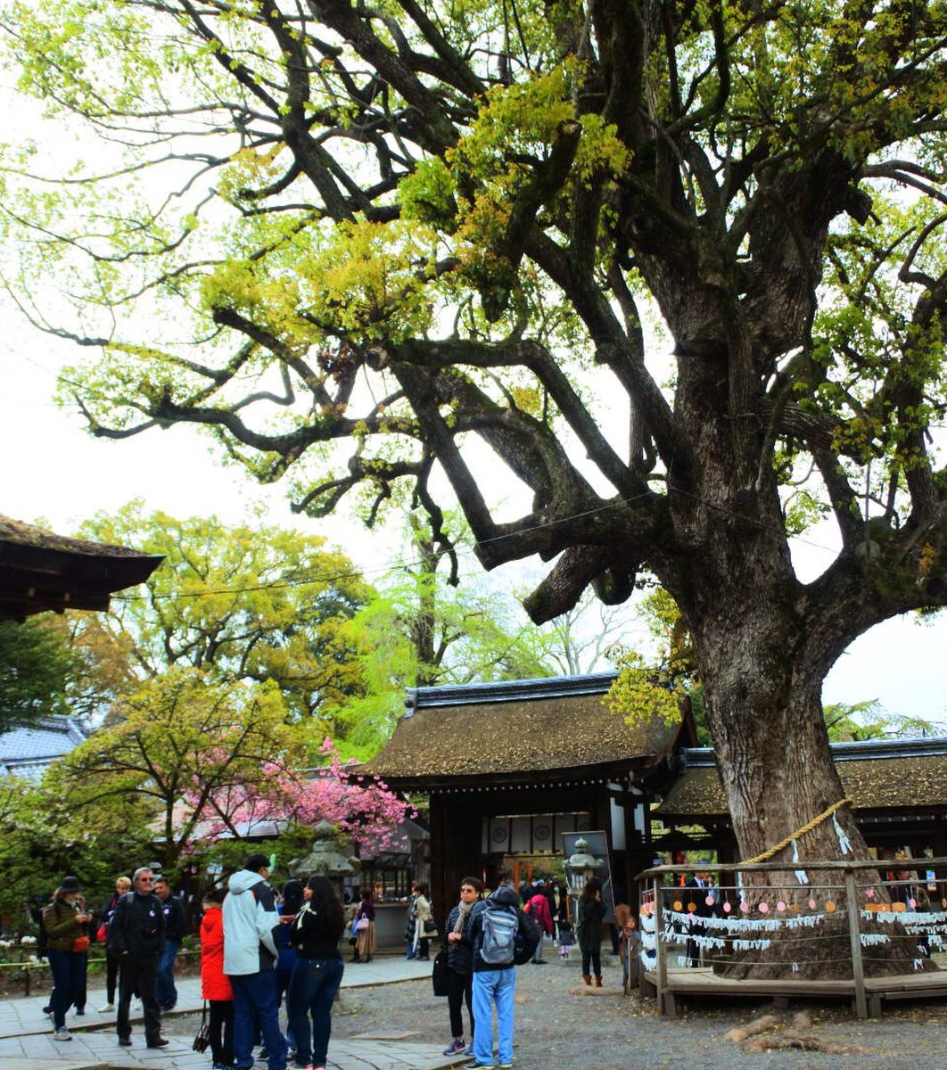 平野神社