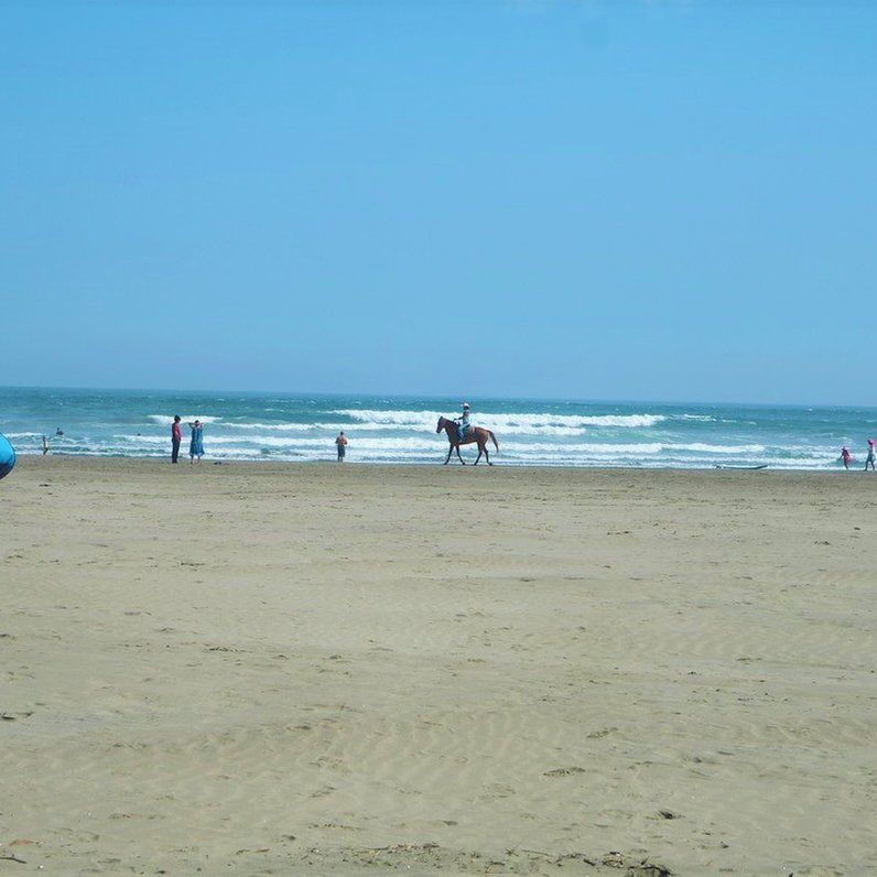 作田海水浴場