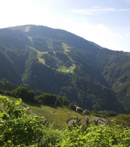 湯沢高原アルプの里