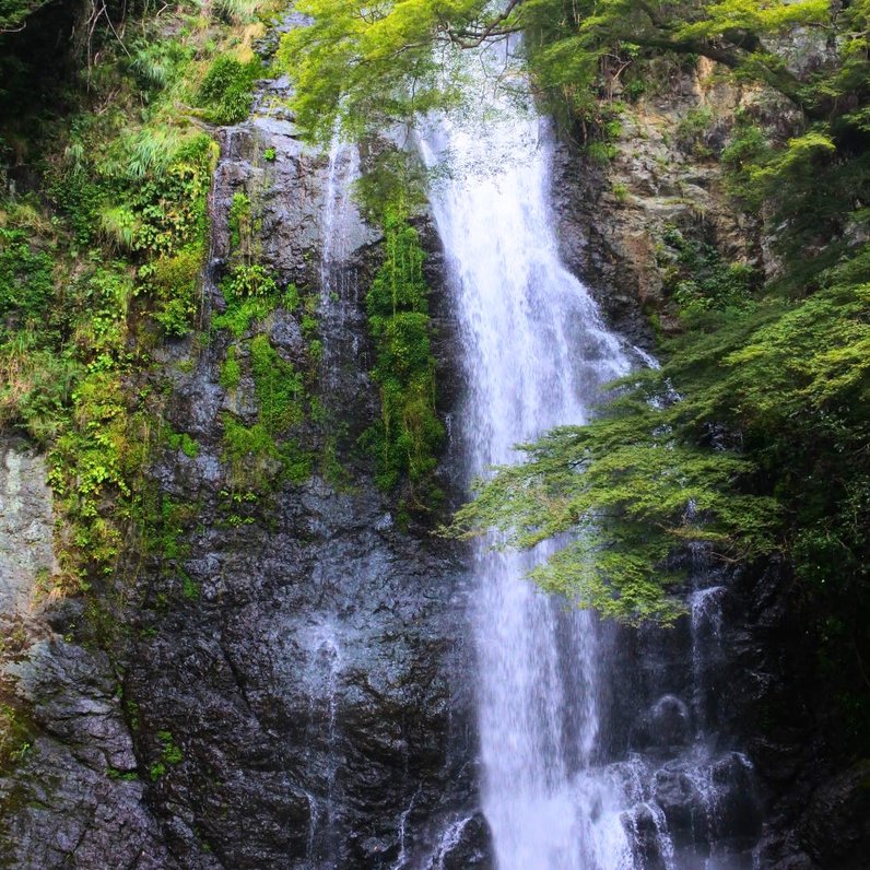 箕面滝