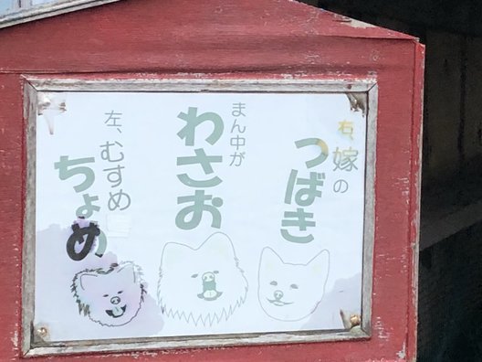 菊谷商店