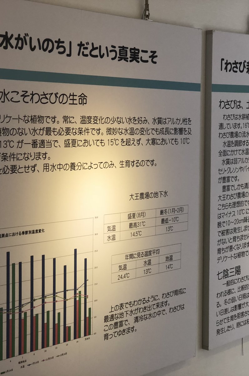 大王わさび農場