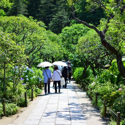 東慶寺