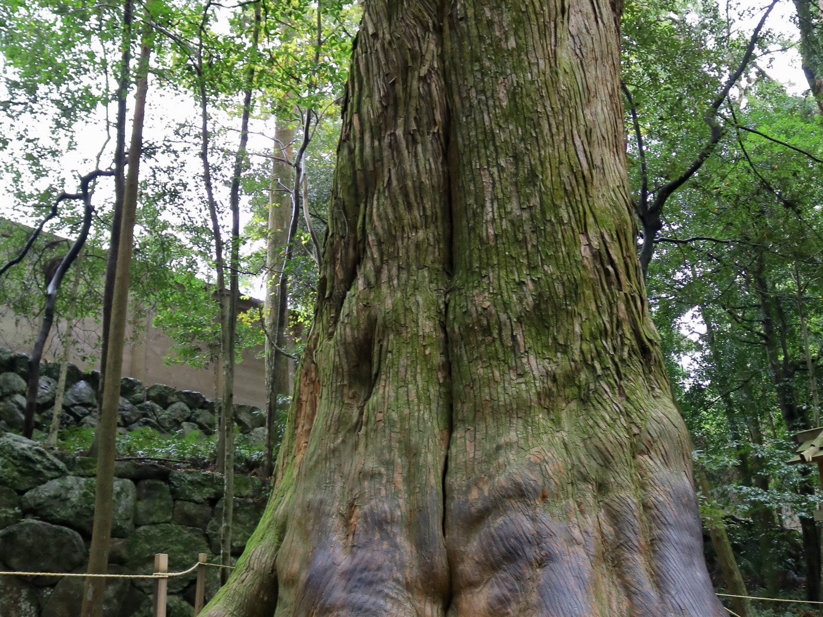 伊勢神宮内宮(皇大神宮)