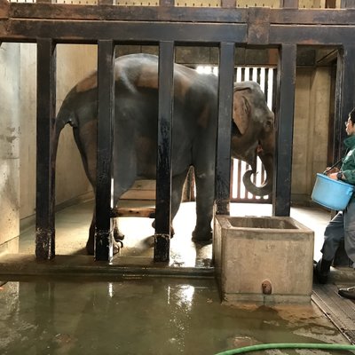 金沢動物園