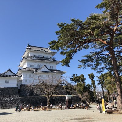 小田原城