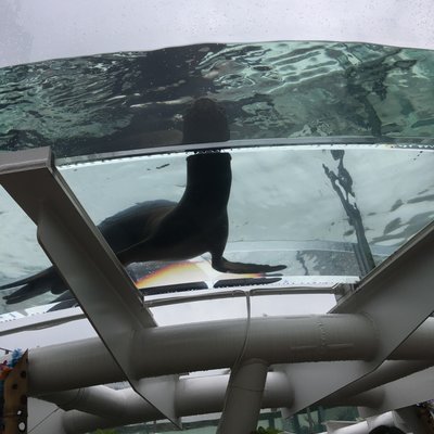 サンシャイン水族館