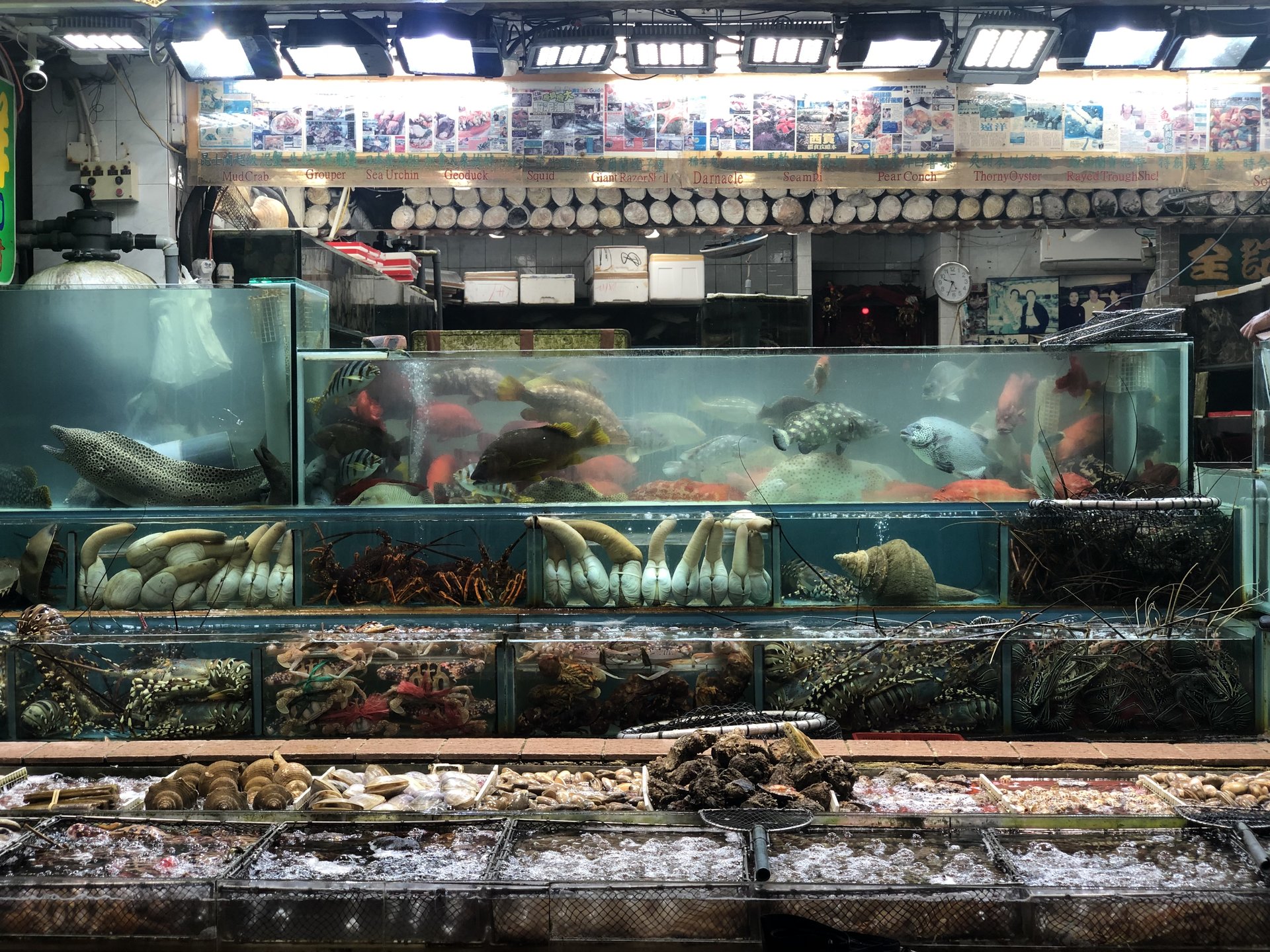 香港版の築地⁉︎「西貢海鮮街」地元人おすすめ海鮮食べるならココ‼︎