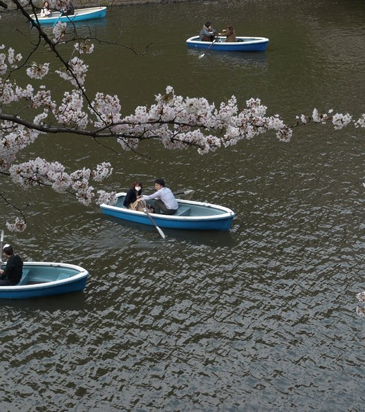 千鳥ヶ淵ボート場