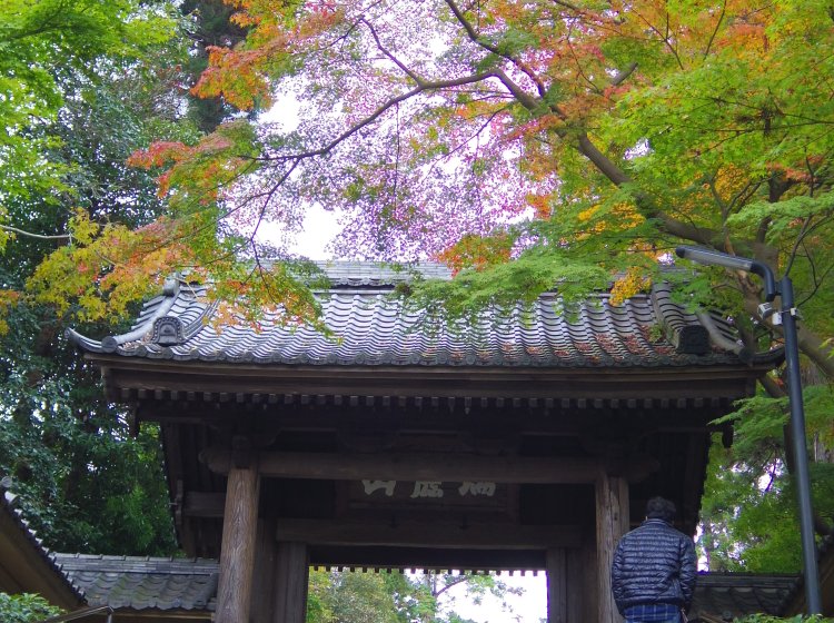 鎌倉さんぽ 秋の絶景は鎌倉にあり 紅葉が素晴らしい人気のお寺を巡る旅 秋の鎌倉観光1日モデルコース Playlife プレイライフ