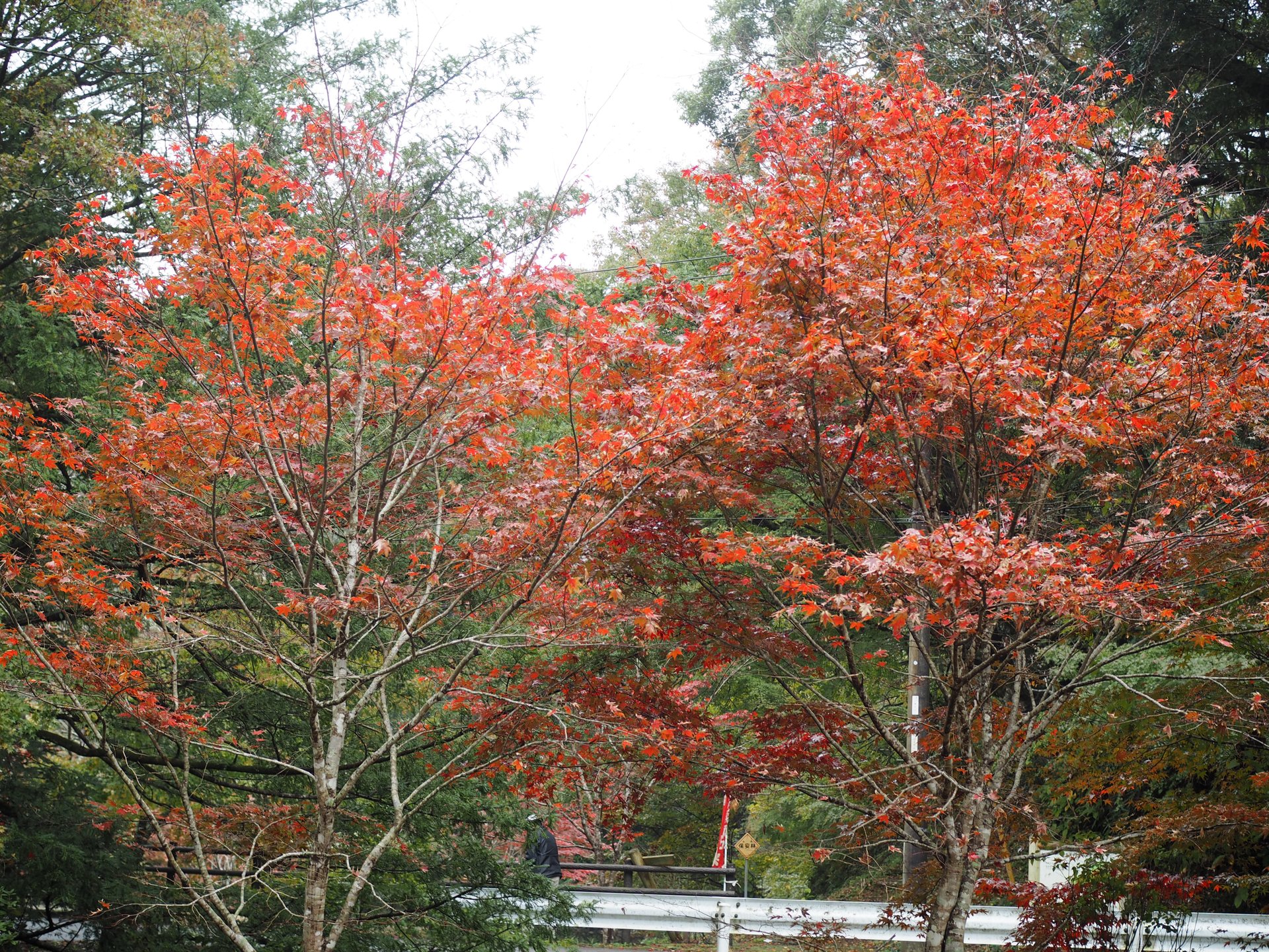 小松寺