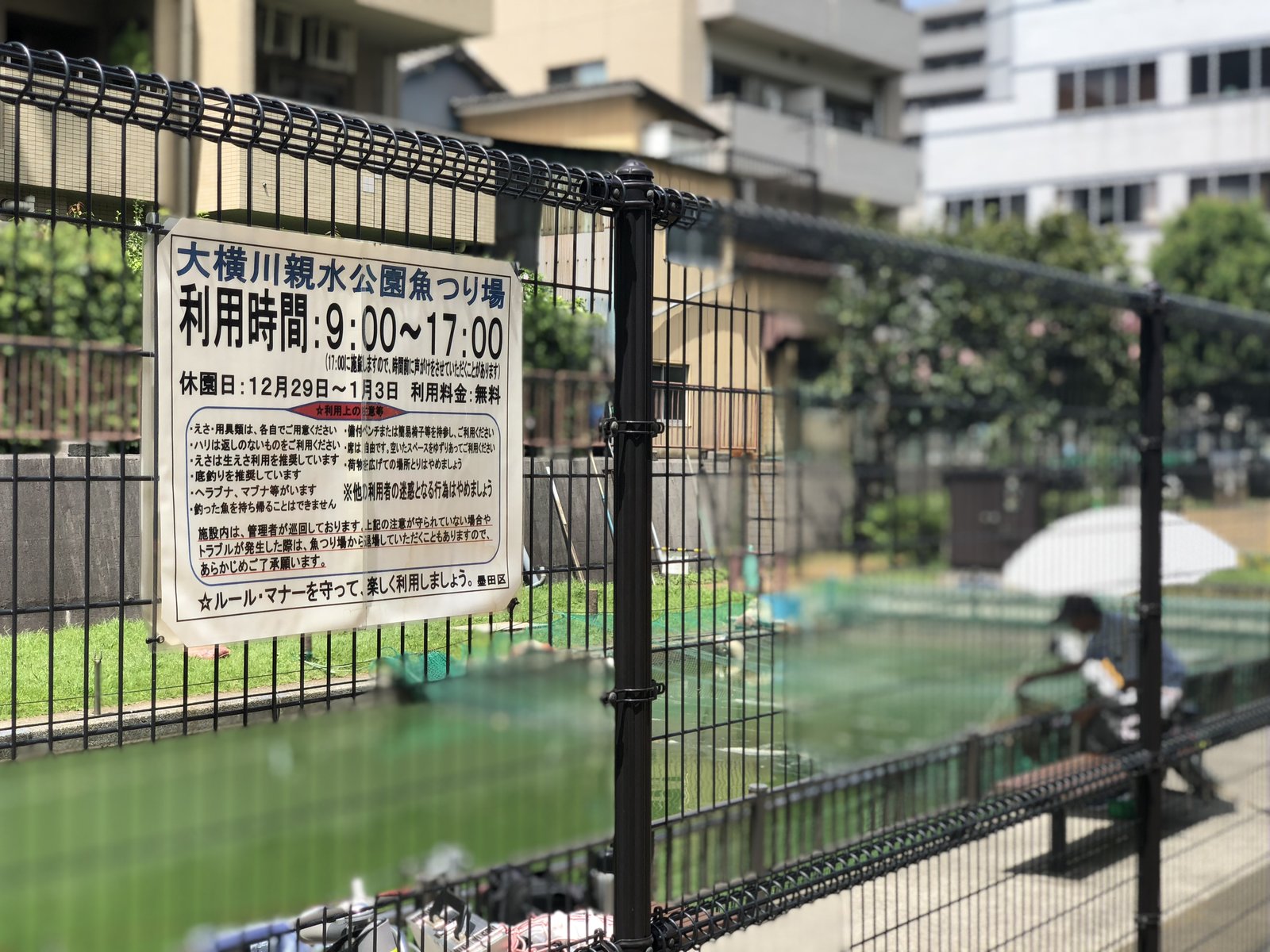 大横川親水公園魚釣り場