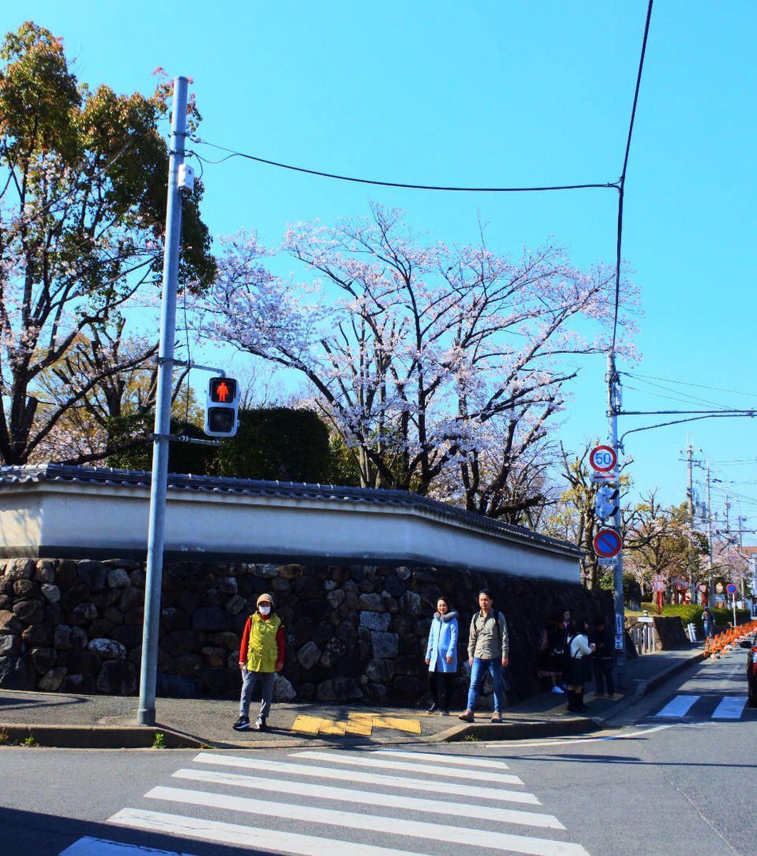 郡山市役所/奈良交通