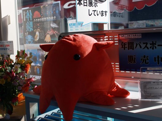 沼津港深海水族館