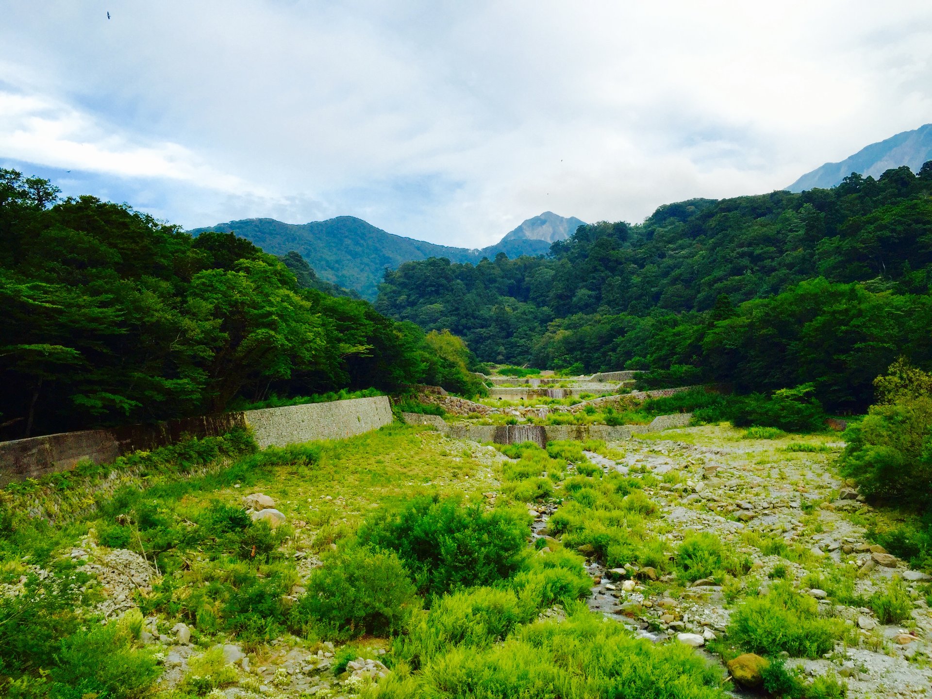 大山夏山登山道