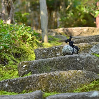 報国寺(竹寺)