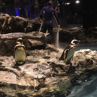 すみだ水族館