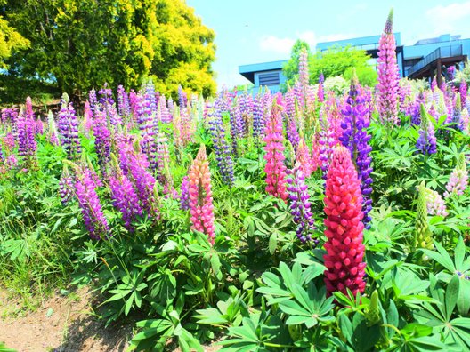 国営備北丘陵公園 湖畔レストハウス