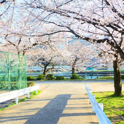 南天満公園