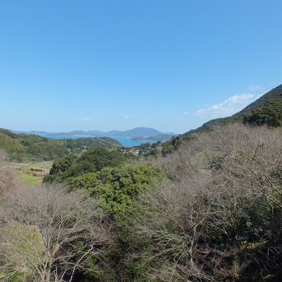 加茂ゆらりんこ橋