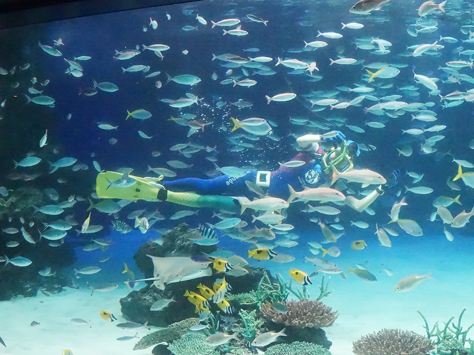 サンシャイン水族館