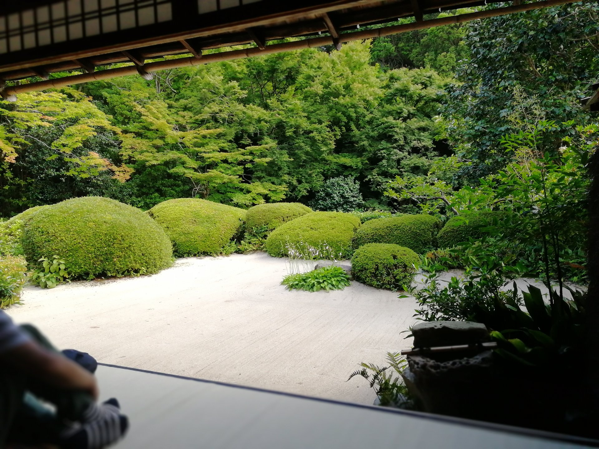 京都詩仙堂。ししおどしの響く庭園と隠れ家カフェ「セイカツノガラ」