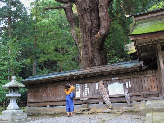 若狭姫神社