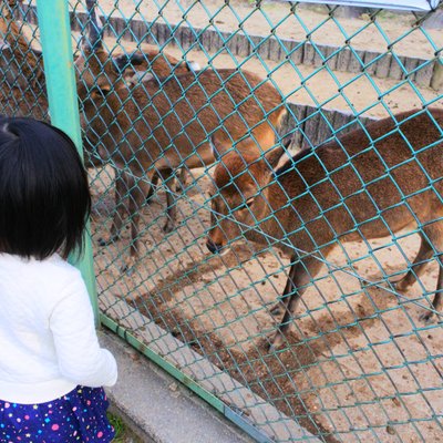 東公園