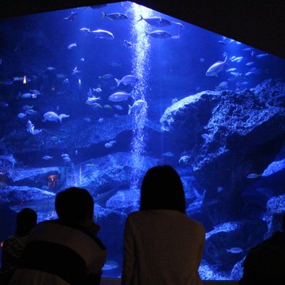 すみだ水族館