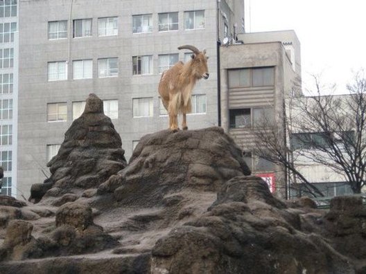 天王寺動物園