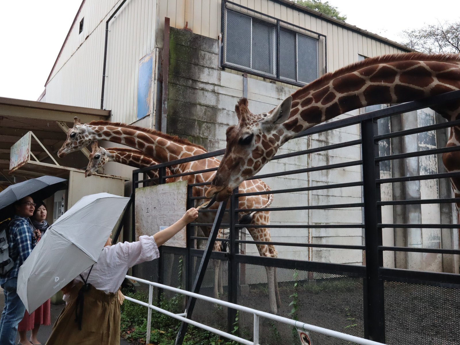 宇都宮動物園