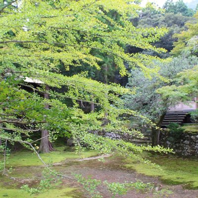 神宮寺