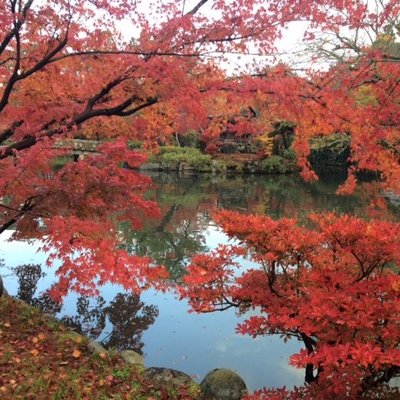 永観堂(禅林寺)