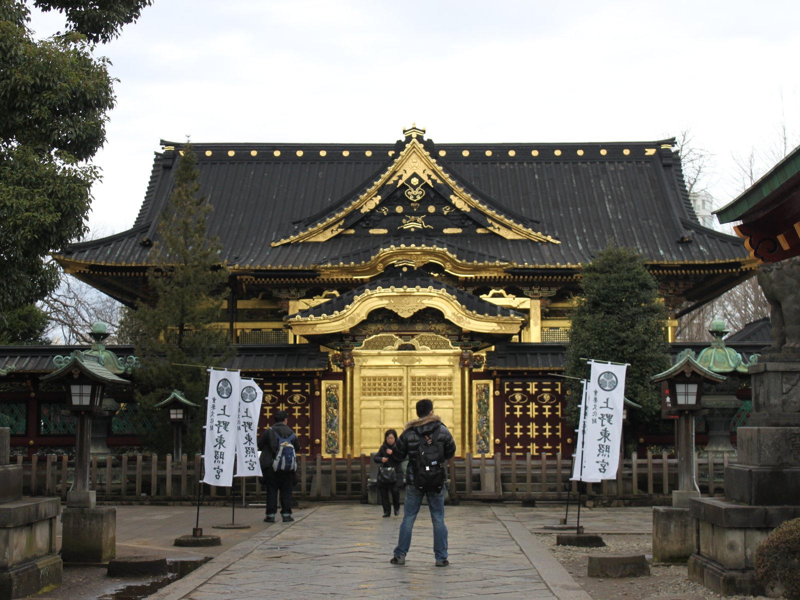 上野東照宮 大楠