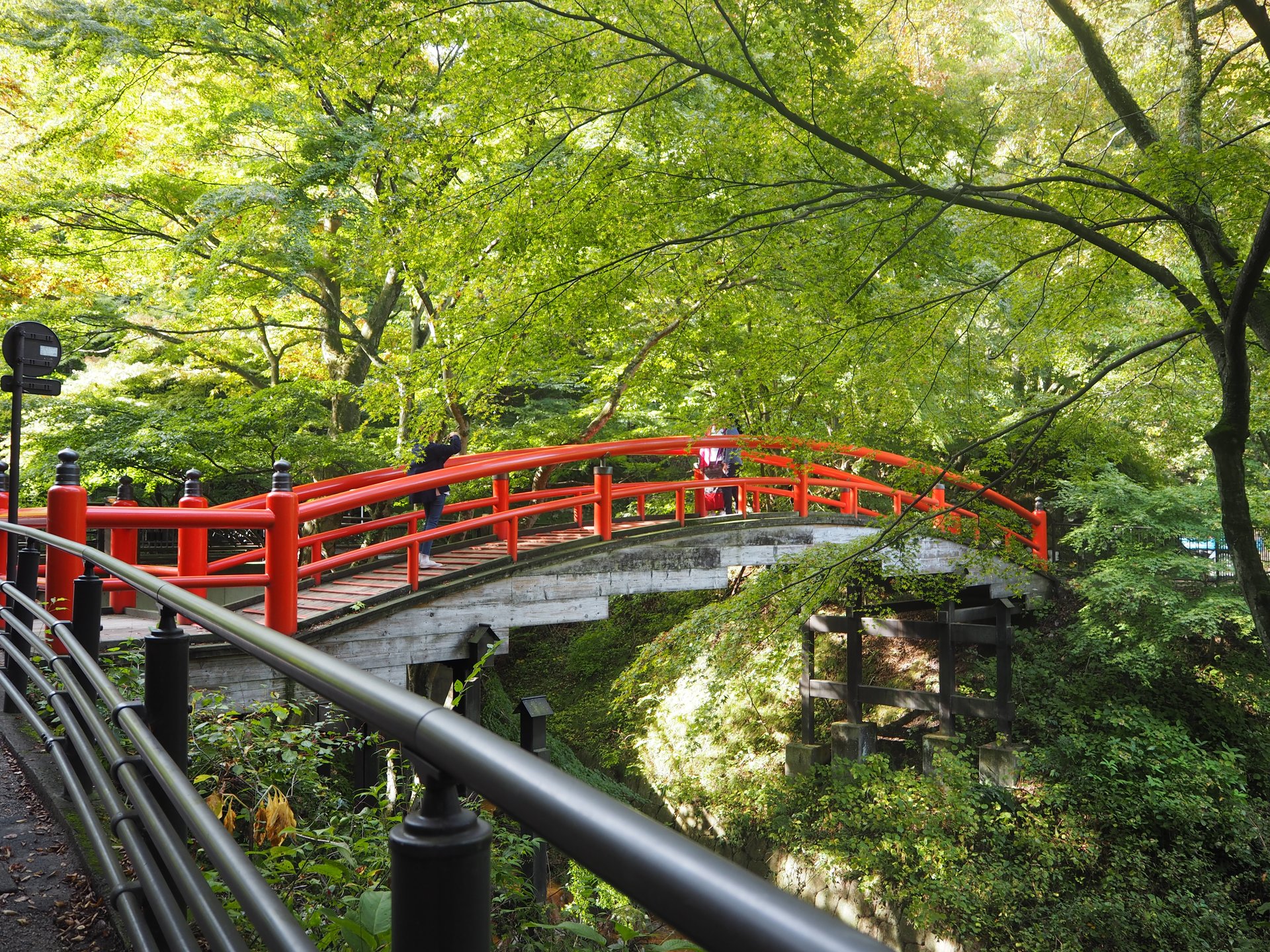 今年の紅葉はどこに行く？関東人気スポット!伊香保温泉「河鹿橋」へ行ってみた♪ライトアップも！