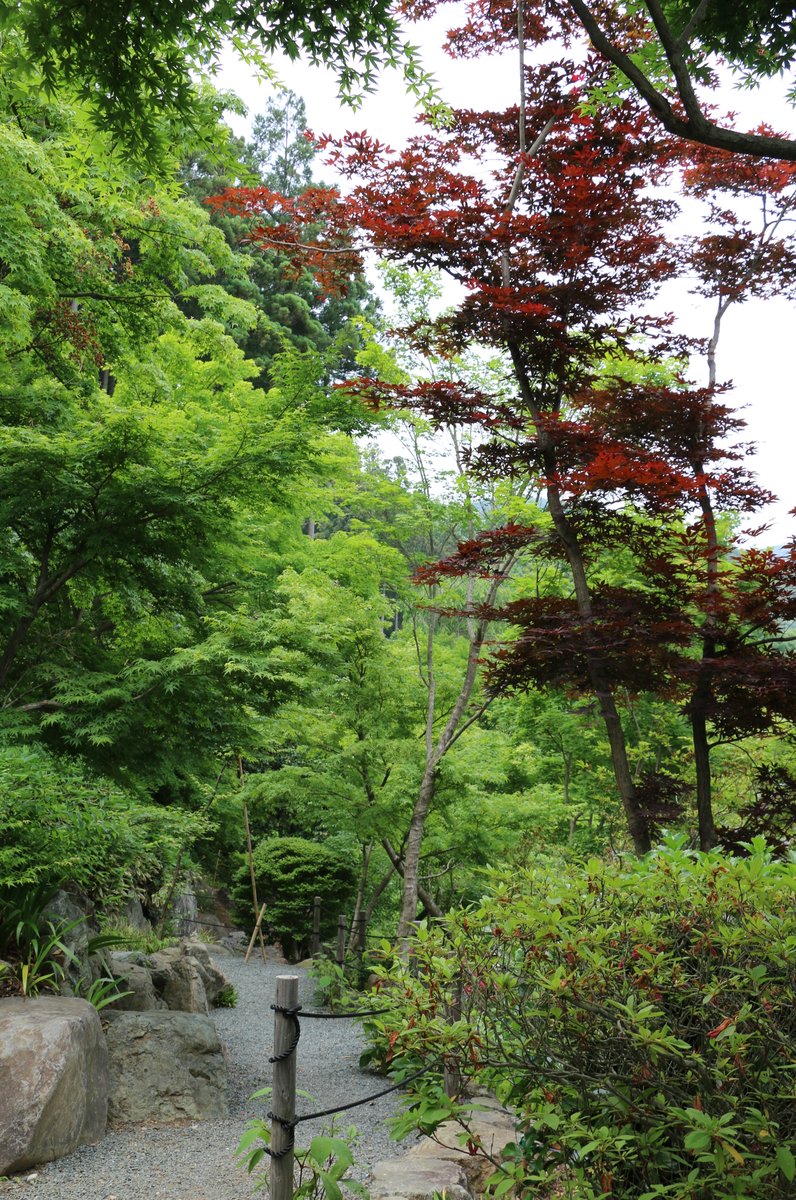 宝徳寺