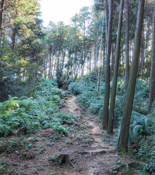 金田城跡