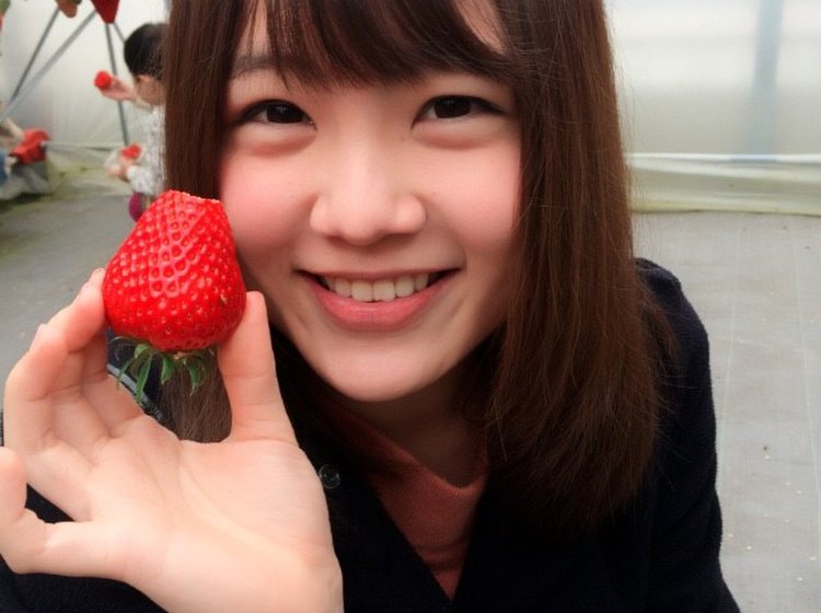 愛知県知多郡でいちご狩り女子会 3種類のいちごが90分食べ放題 春香園 がおすすめ Playlife プレイライフ