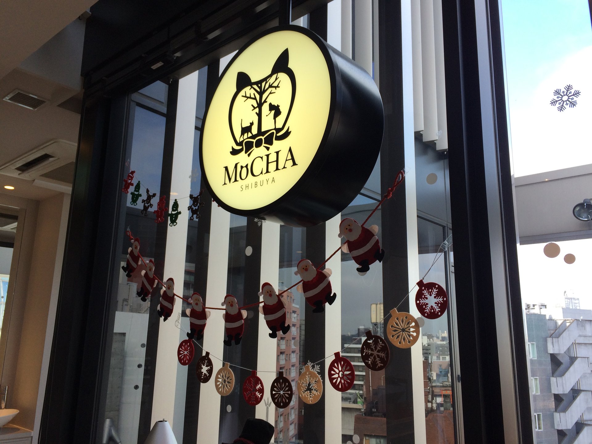 猫カフェMoCHA 渋谷店