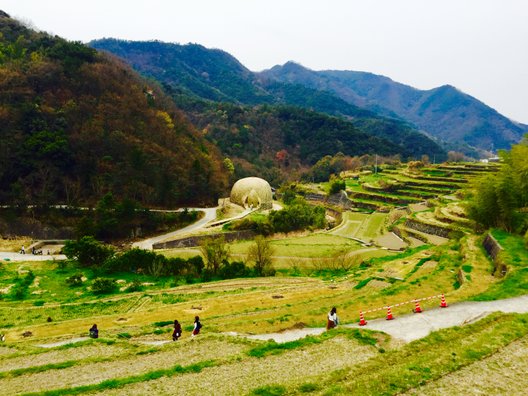 中山千枚田