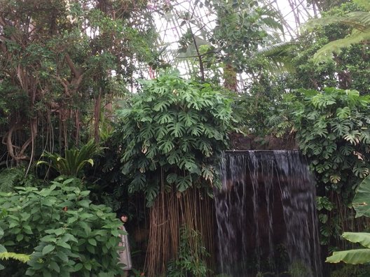 東京都夢の島熱帯植物館