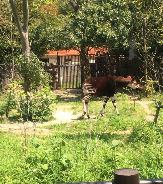 金沢動物園