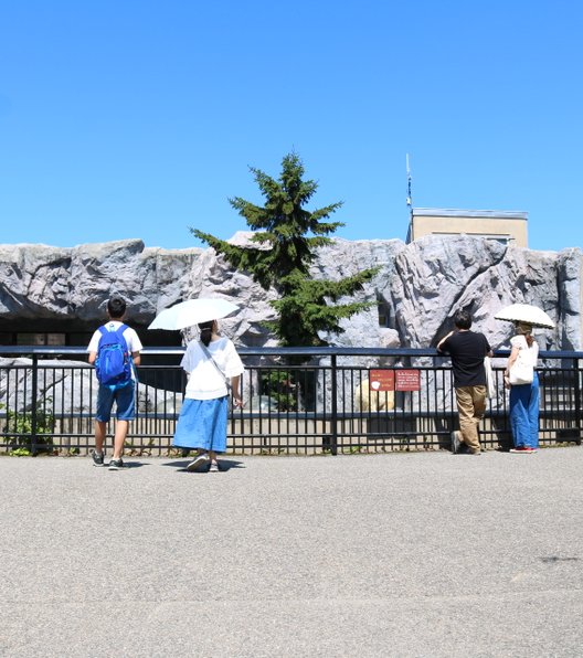 旭川市旭山動物園