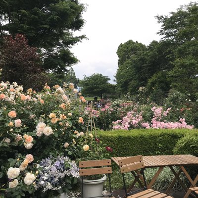 ヴァンジ彫刻庭園美術館