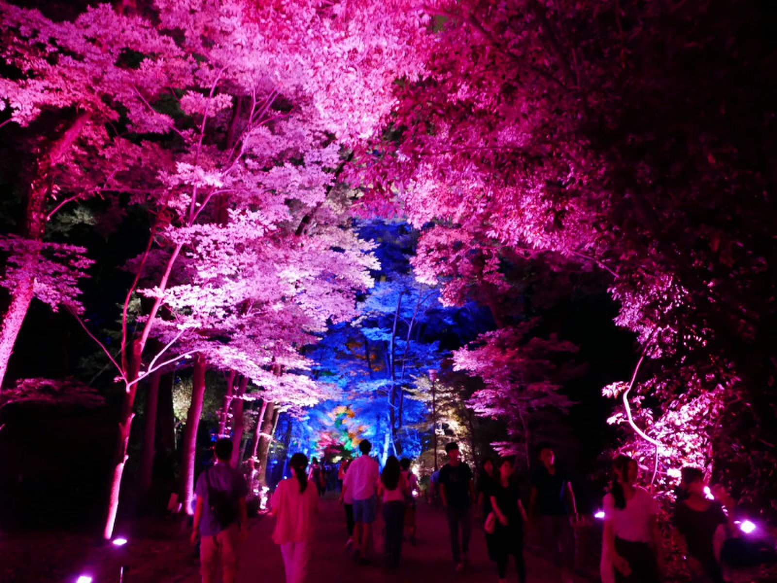 下鴨神社(賀茂御祖神社)