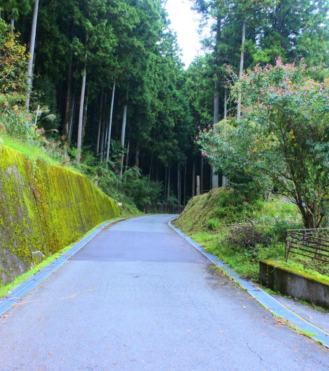 室生山上公園芸術の森