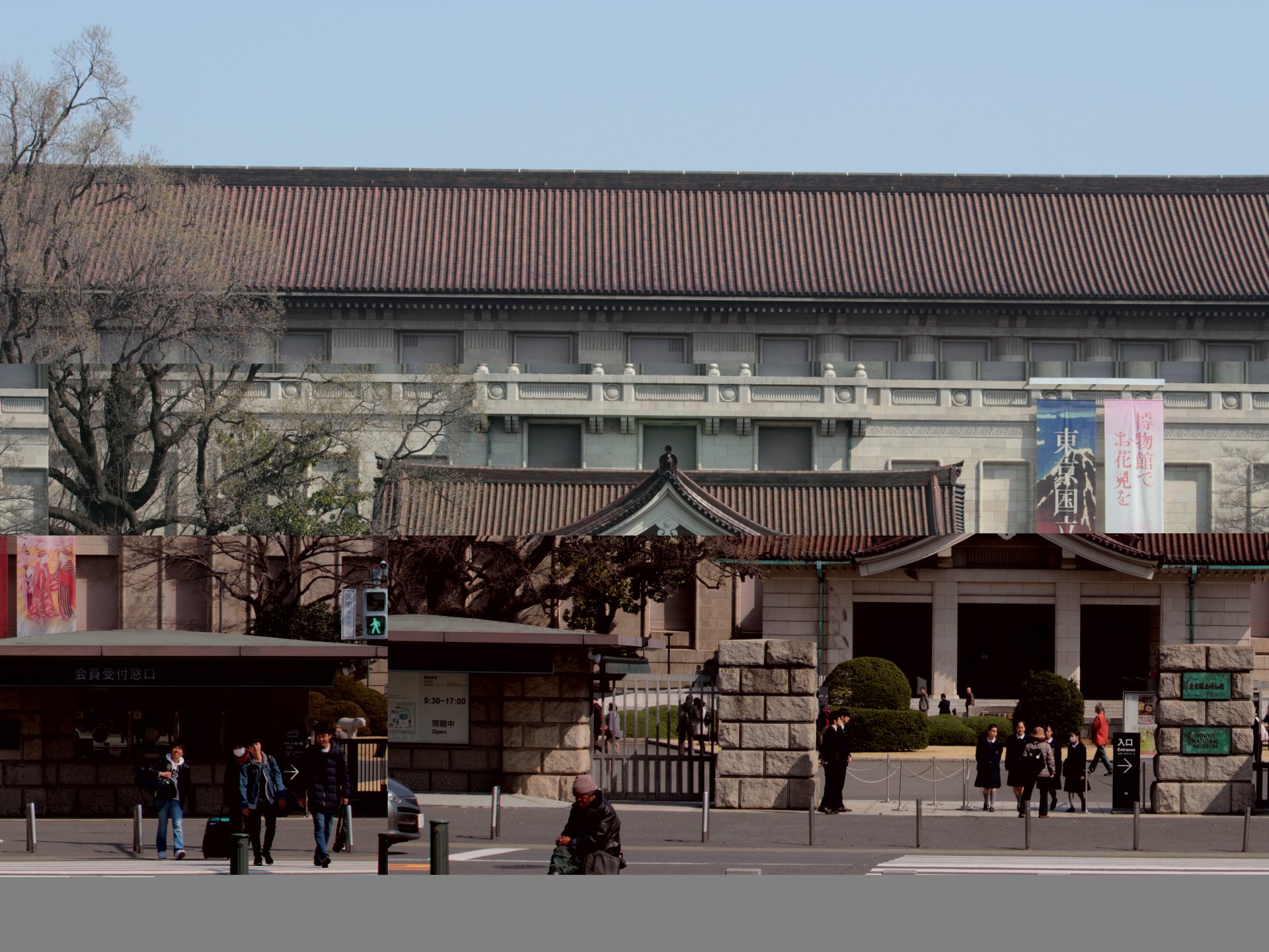 普段は入れない庭園へ！東京国立博物館 春の庭園開放